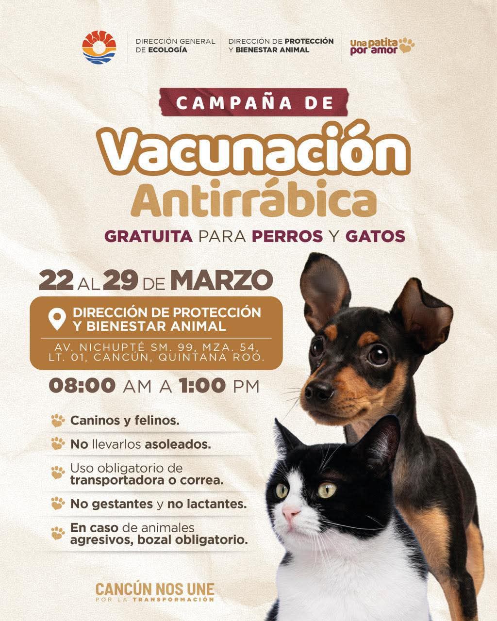 uploads/6/32/01 (2889).Jpeg